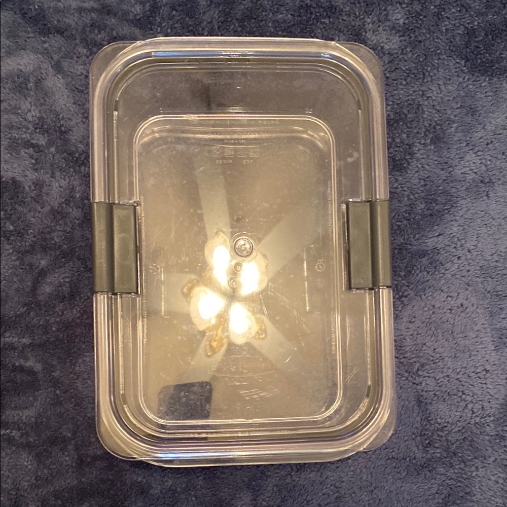 Rubbermaid Clear Food Storage Container with Gray Latches
